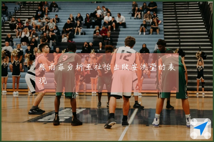 陈雨菲分析王祉怡击败安洗莹的表现