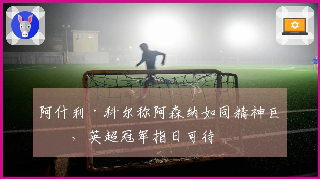 阿什利·科尔称阿森纳如同精神巨兽，英超冠军指日可待